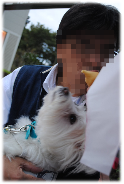 b0242873_22342041.png