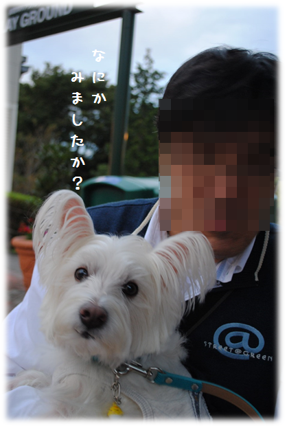 b0242873_22410853.png