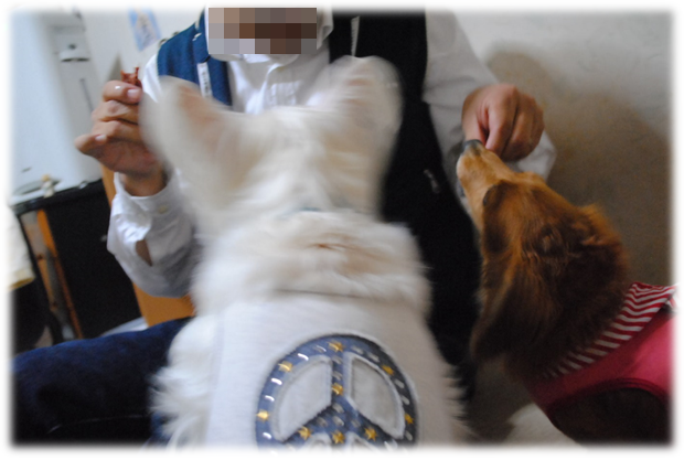 b0242873_22450198.png
