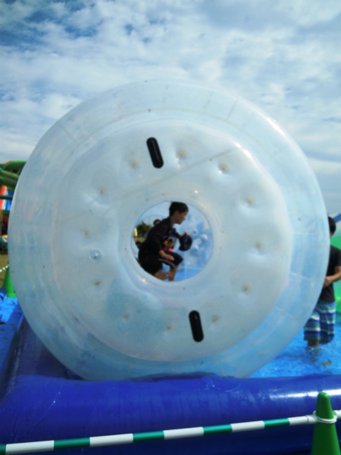 a0082884_81329.jpg