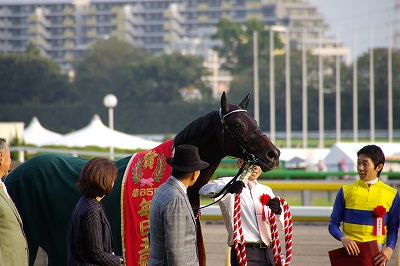 毎日王冠はエアソミュールが混戦を制し重賞２勝目を飾る _b0015386_1292370.jpg