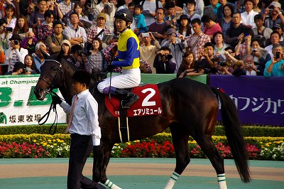 毎日王冠はエアソミュールが混戦を制し重賞２勝目を飾る _b0015386_129747.jpg