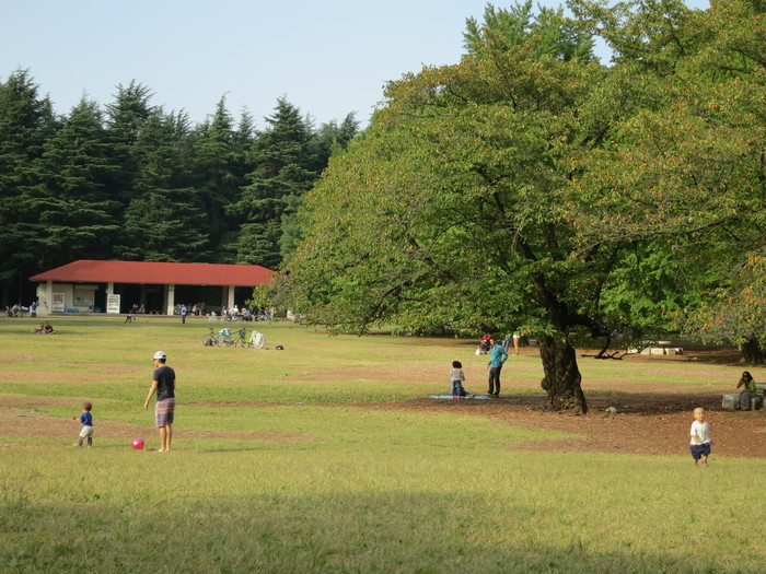 １０月　光が丘公園_f0274387_21301875.jpg