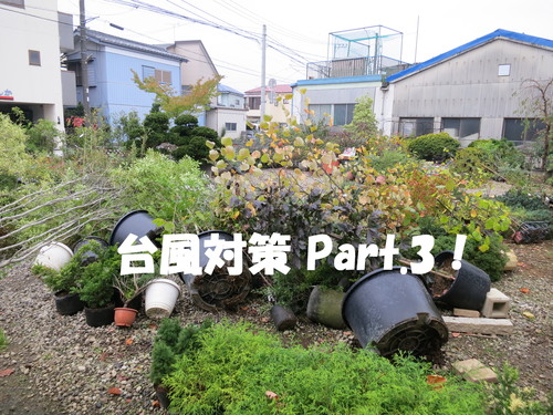 台風対策 Part.3！_b0200291_18231546.jpg