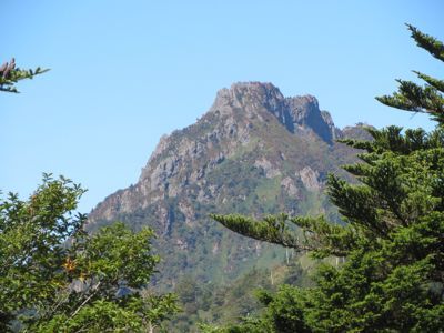 e0111793_1604372.jpg