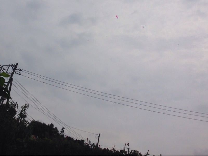 d0135694_9295810.jpg
