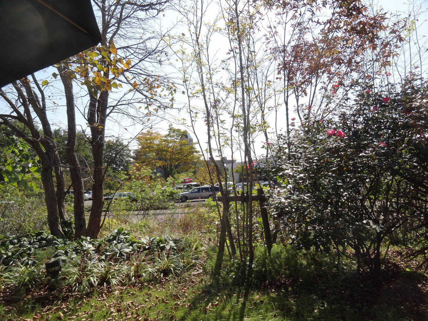 f0075595_06490200.jpg