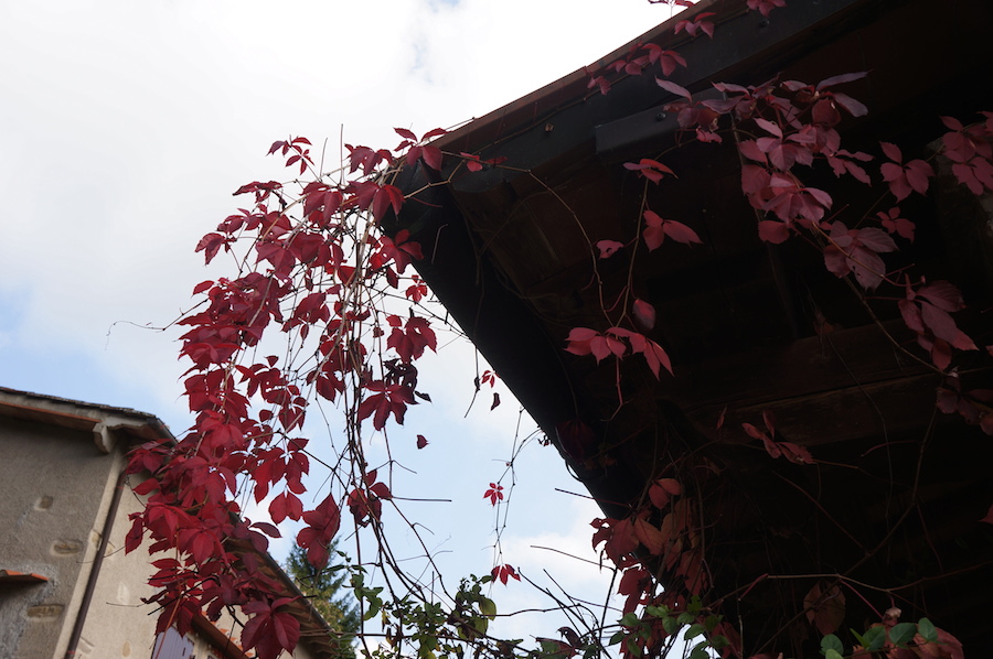 山登りとバーベキュー_f0106597_1833528.jpg