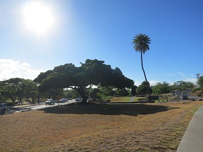 a0036499_13522958.jpg