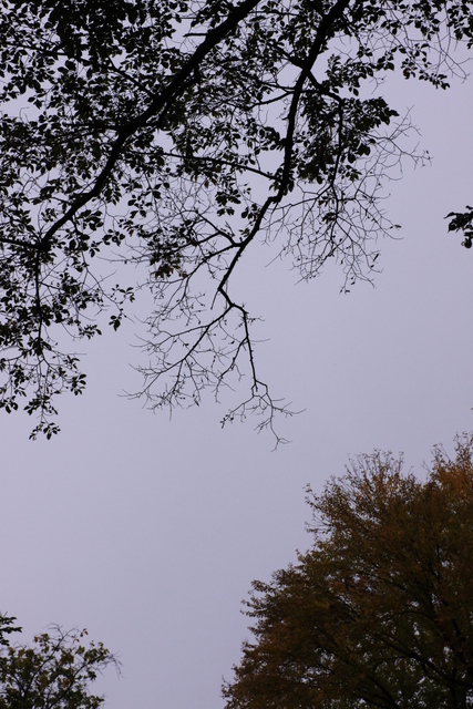 d0248502_7413441.jpg