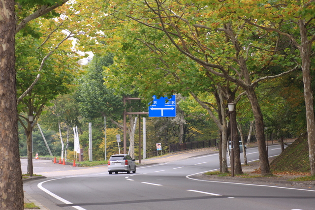 d0248502_7445537.jpg