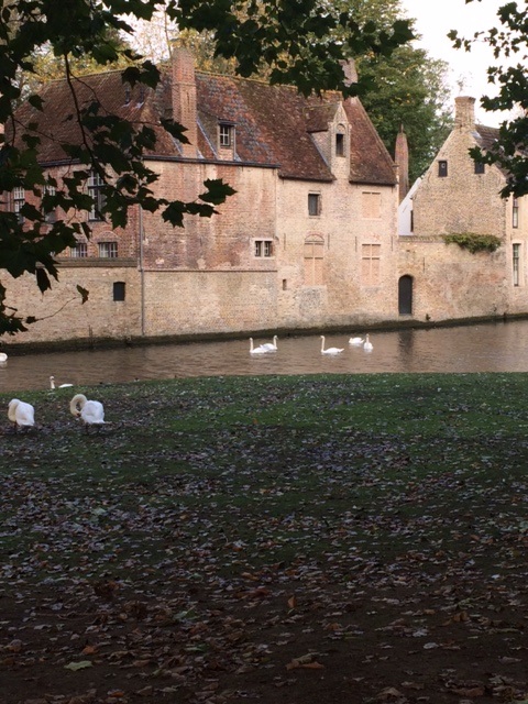e0141203_16442946.jpg