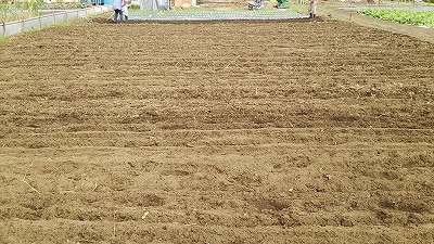 e0270403_17365172.jpg