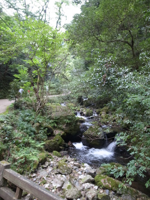 f0197703_16551295.jpg