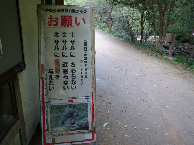 f0197703_16564270.jpg