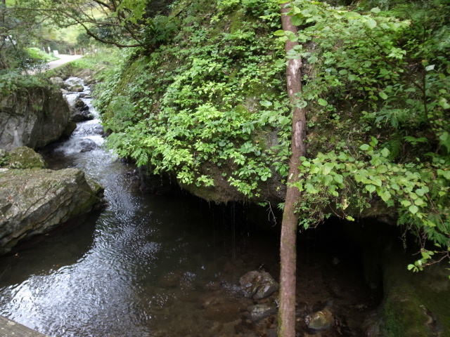f0197703_16572895.jpg