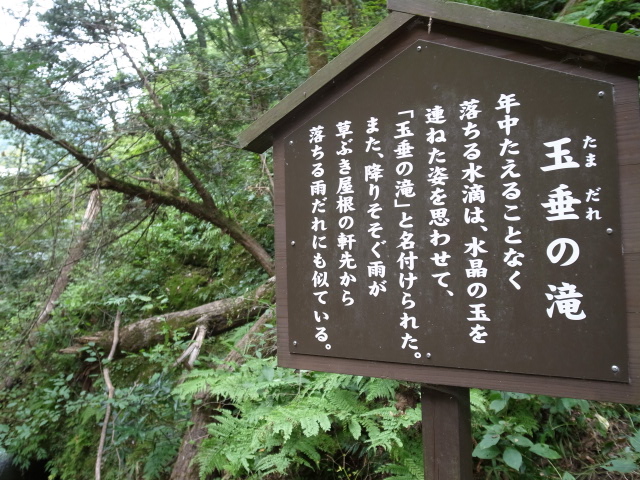 f0197703_165793.jpg