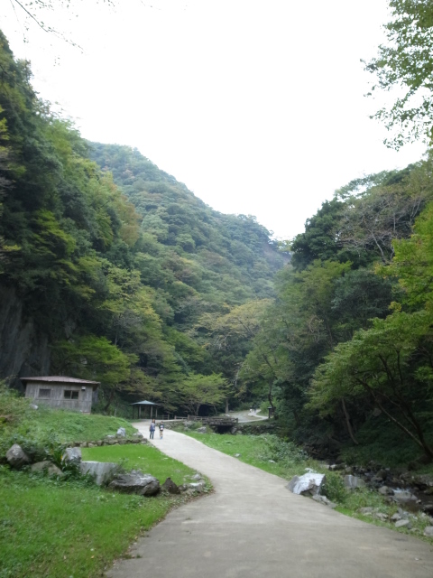 f0197703_16591516.jpg