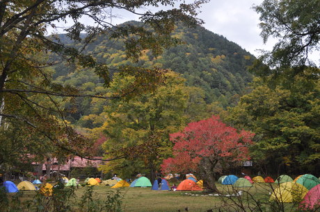 c0242406_12431132.jpg