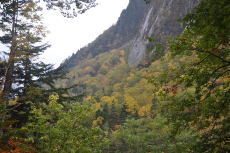 c0242406_12553874.jpg
