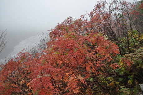 c0242406_13144985.jpg