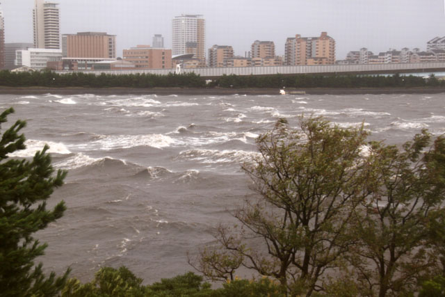 　19号台風_b0061108_21134438.jpg