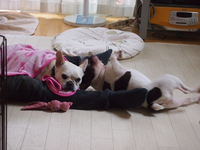 b0207912_9304760.jpg