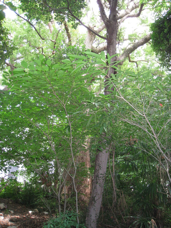 d0287413_9551961.jpg