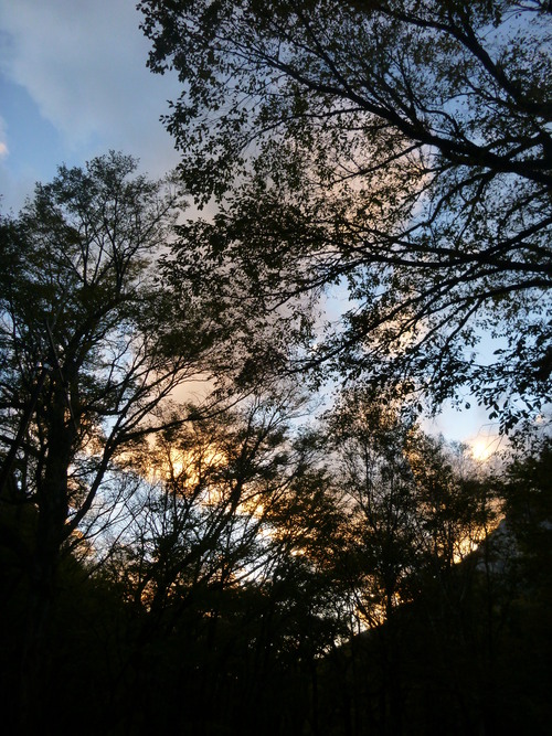 a0236914_1851158.jpg