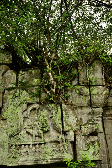 f0046614_22264018.jpg