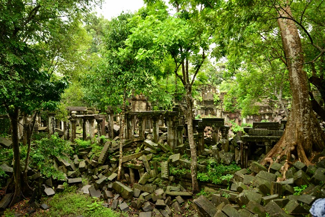 f0046614_22292697.jpg