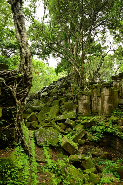 2014.7.23　Angkor Wat　２９　ベン・メリア　２_f0046614_22423918.jpg