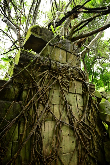 2014.7.23　Angkor Wat　２９　ベン・メリア　２_f0046614_22453184.jpg