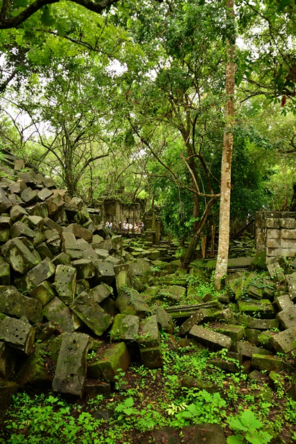 f0046614_22491866.jpg
