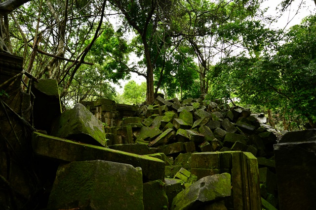 2014.7.23　Angkor Wat　２９　ベン・メリア　２_f0046614_2249646.jpg