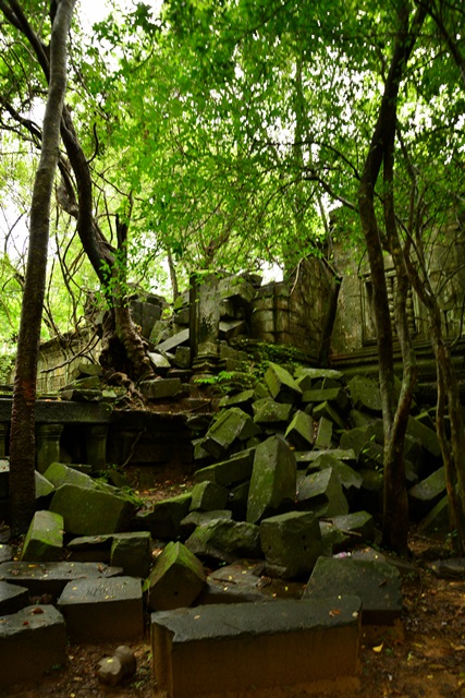 2014.7.23　Angkor Wat　２９　ベン・メリア　２_f0046614_2254810.jpg