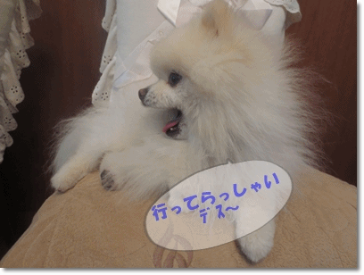 b0167519_1515575.gif