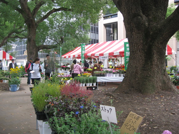 港区役所エリアにロハス越前出店!! みなと区民まつり2014_e0061225_16393612.jpg