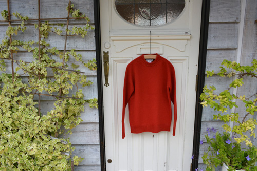 赤いセーター_a0113127_7482199.jpg