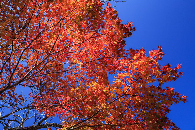 b0243727_18415100.jpg