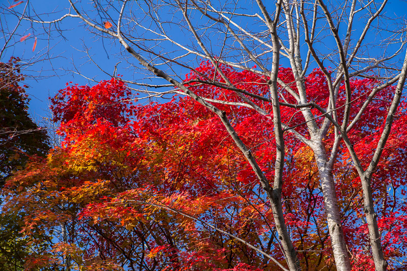 b0243727_1865350.jpg