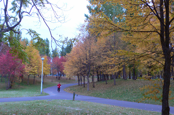 a0046429_1533436.jpg
