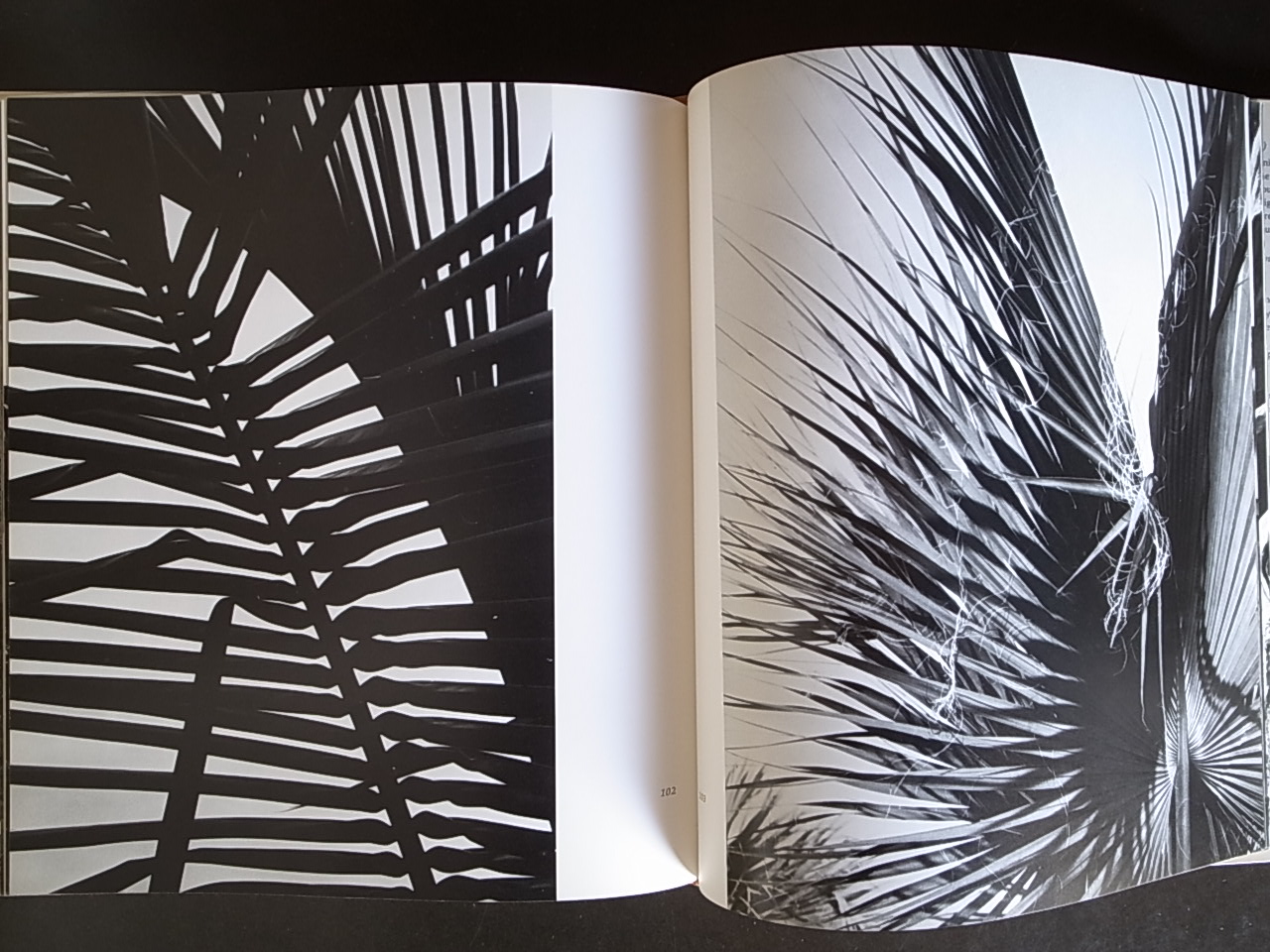 SHADOW AND LIGHT THE PHOTOGRAPHS OF BERNHARD SPRINGER / Kenneth Poli_a0227034_13494746.jpg