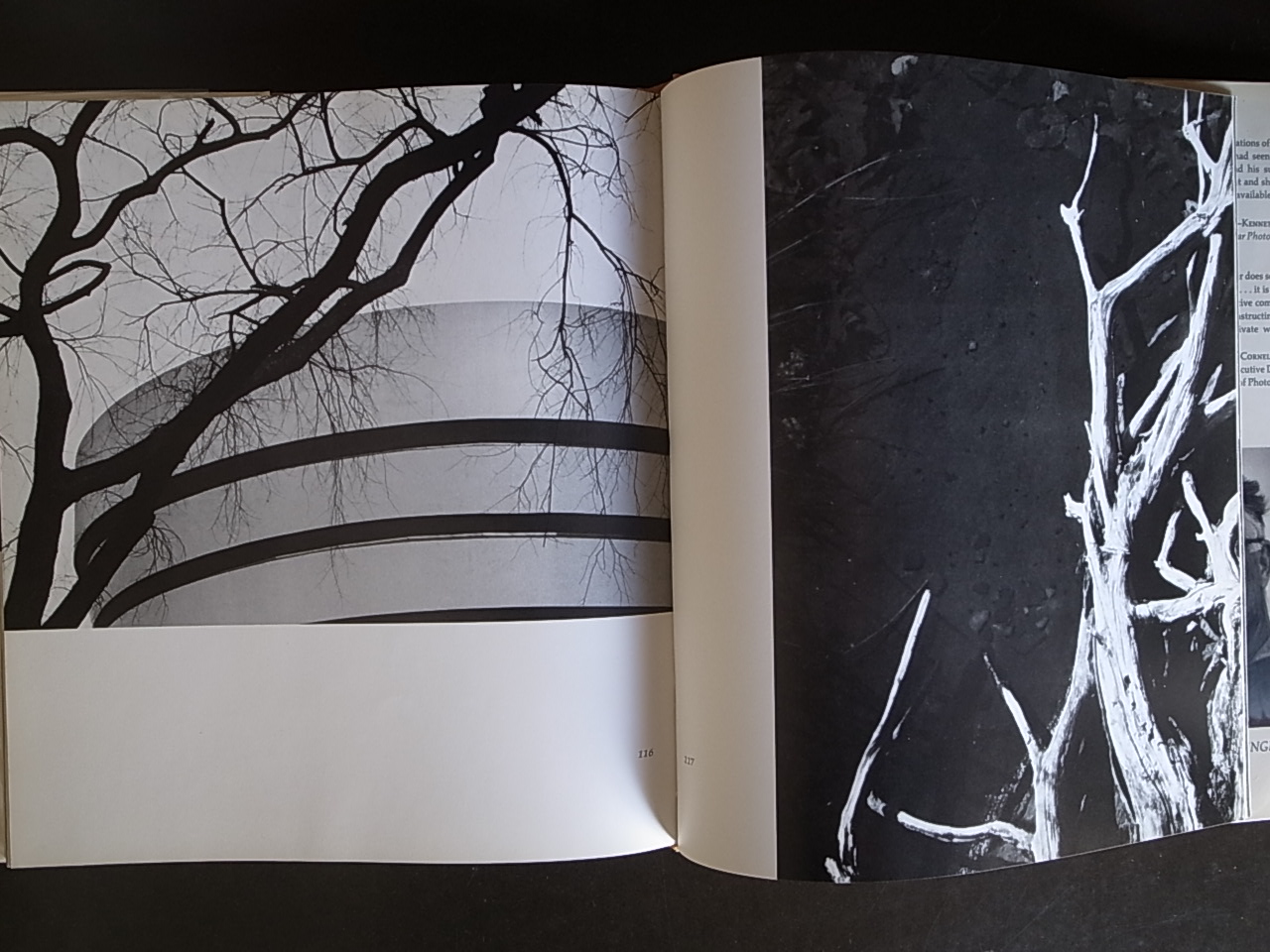 SHADOW AND LIGHT THE PHOTOGRAPHS OF BERNHARD SPRINGER / Kenneth Poli_a0227034_13504143.jpg