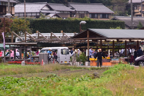 京都大原~カフェミモザガーデン_a0291938_22164656.jpg