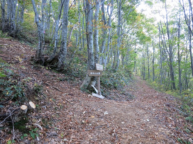 ２０１４．１０．１１長左衛門道で北面白山_f0003138_9144444.jpg