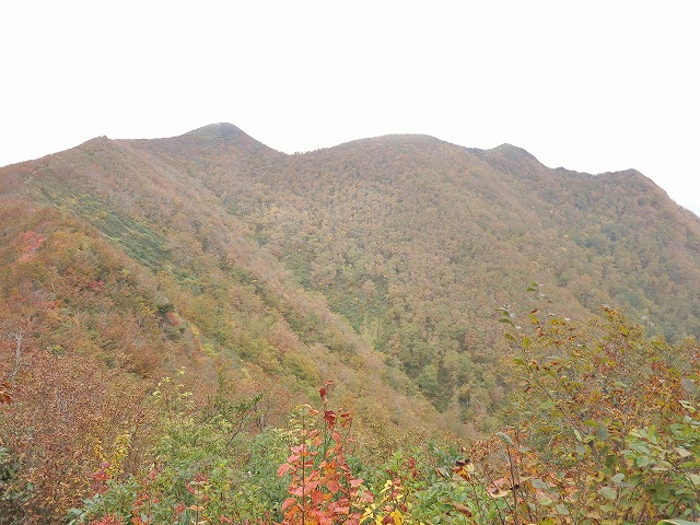 ２０１４．１０．１１長左衛門道で北面白山_f0003138_9524922.jpg