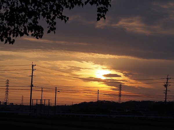 2014年10月14日　秋の夕暮れ_b0341140_19282894.jpg