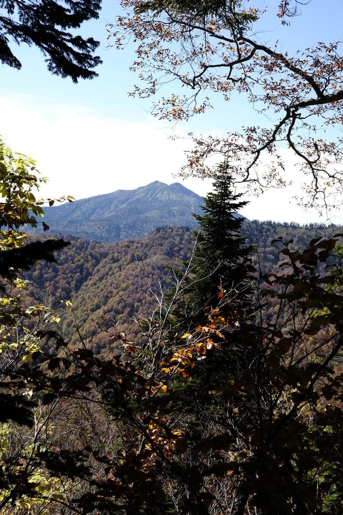 d0237340_65231.jpg