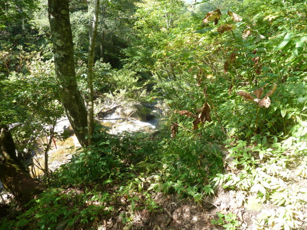 d0288144_16302433.jpg